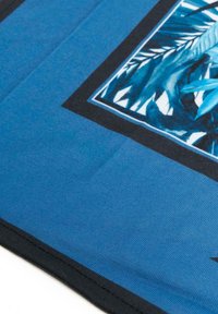 DEF JUST RHYSE CAPOTERRA - Tørklæde / Halstørklæder - blue