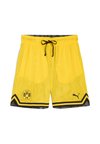 HOOPS DORTMUND - Korte sportsbukser - faster yellow-puma black-aop
