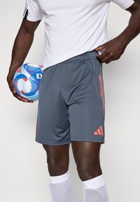 Grå athletic shorts med snøre i taljen, der har pink accenter og en subtil glans. Kombineret med en hvid skjorte og holder en fodbold.