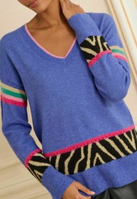 V veida kakla, garo piedurkņu džemperis gaiši zilos diegos. Iekļauj daudzkrāsainas svītras un zebras raksta joslu pie apakšmalas un piedurknēm.