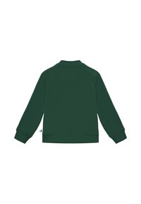 Ciemnozielona bluza z okrągłym dekoltem, rękawami raglanowymi i ściągaczami na mankietach. Gładki materiał bez wzorów, z małą metką z boku.