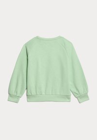 Felpa verde chiaro in tessuto morbido e testurizzato, con polsini a costine e scollatura arrotondata; presenta maniche raglan e una vestibilità rilassata.
