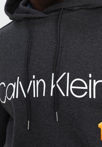 Felpa grigia con cappuccio regolabile, grande logo bianco "Calvin Klein" e punte metalliche sui lacci. Tessuto morbido e strutturato.