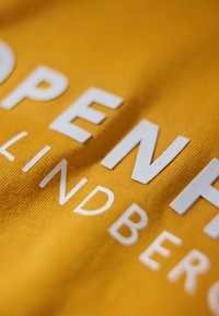 Lindbergh T-shirt med print - honey