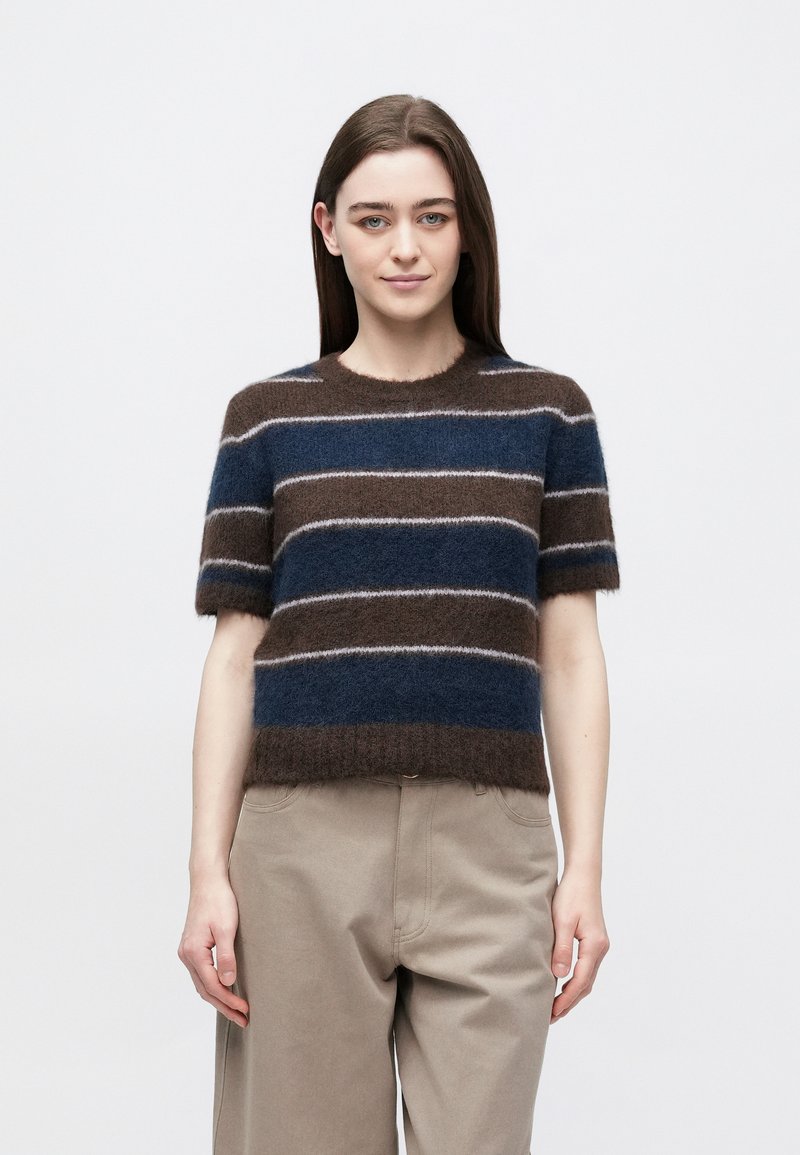 Džemper kratkih rukava u smeđim i plavim prugama, izrađen od mekanog materijala s okruglim izrezom i blago skraćenim rubom.