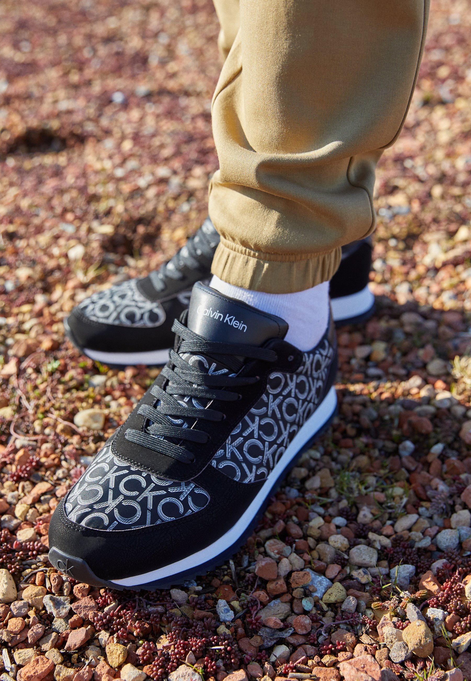 calvin klein trainers