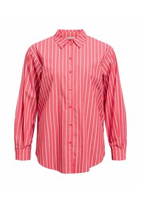 Non sélectionné, poinsettia