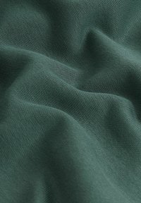 Next CREW - Sweatshirt - green