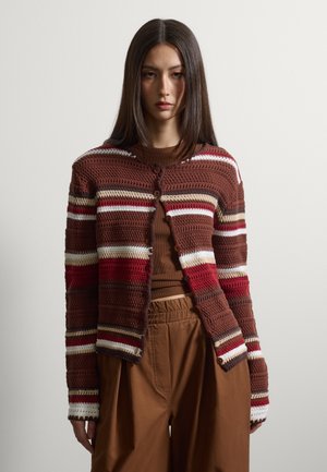 Mujer de cabello largo y oscuro que lleva un cárdigan de crochet a rayas marrón y rojo, camiseta marrón y pantalones marrón de cintura alta, de pie sobre un fondo liso.