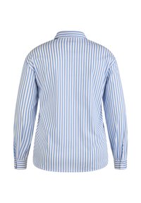 Blue and white striped shirt with long sleeves, buttoned cuffs, a classic collar, and a smooth fabric texture. Back view shows side seams.