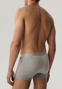 Szare bawełniane slipki męskie z szarym pasem, o gładkiej fakturze i dopasowanym kroju, widziane z tyłu.