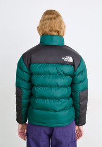 Grønn og svart dunjakke med høy krage, horisontal quiltet design, og "The North Face"-logoen på øvre rygg. Glatt tekstur.