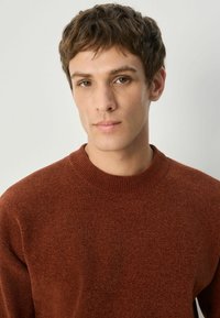 Brauner Strickpullover mit rundem Ausschnitt und gerippten Bündchen. Weiche Textur mit einem subtilen Muster, das im Stoff sichtbar ist.