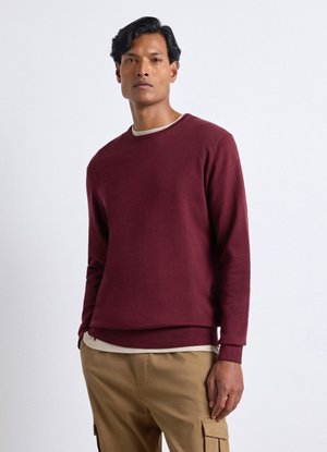 Uomo che indossa un maglione color mogano con scollo rotondo sopra una camicia beige e pantaloni cargo beige su sfondo bianco semplice.