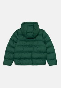 Temno zelena prešita puffer jakna s kapuco, dolgimi rokavi in horizontalnim šivanjem, prikazana od zadaj na belem ozadju.