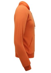 Oranje hoodie met een hoge kraag, voorzak, ribgebreide manchetten en zoom. Gemaakt van zachte stof, met een pullover ontwerp.