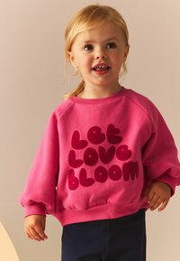 Next LOVE RAGLAN  REGULAR FIT - Mikina - pink
