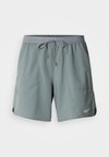 2 в 1 шорти - smoke grey/silver-coloured