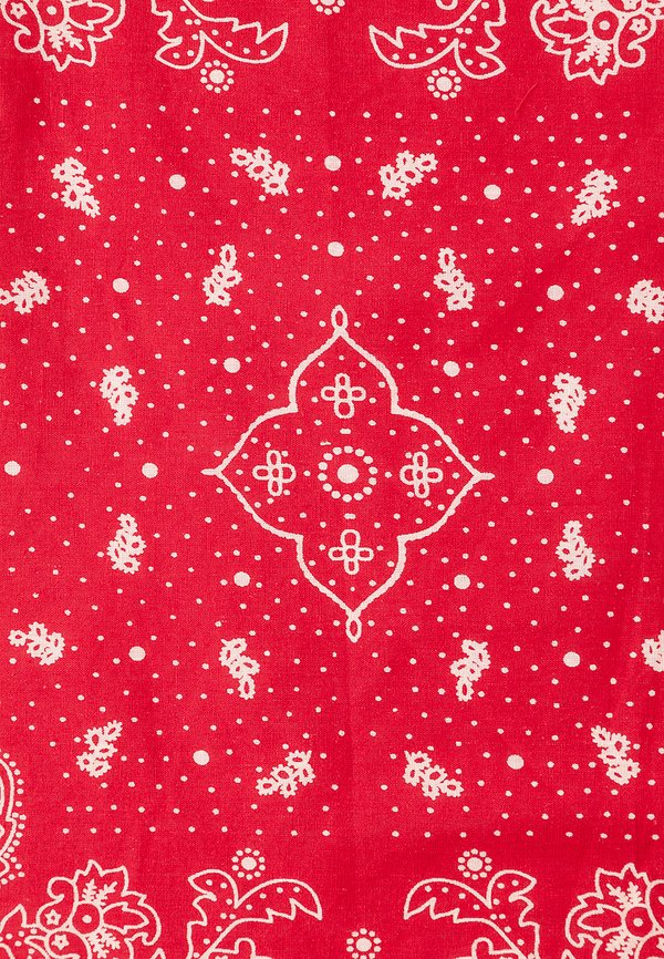 PAISLEY BANDANA UNISEX - Foulard3