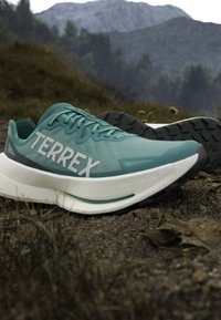 Letvægtige turkis Terrex trailrunning sko på jord med bjerg- og skovbaggrund.