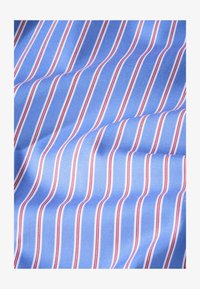 Ausgewählt, blue stripe