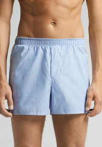 Blue and white striped swim shorts with an elastic waistband, soft fabric, and a relaxed fit. Features a front seam and no pockets.
