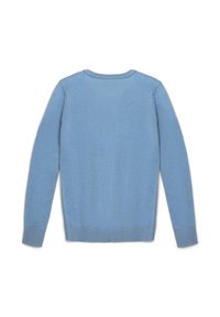 Hellblauer Strickpullover mit Rundhalsausschnitt, langen Ärmeln und gerippten Bündchen und Saum. Glatte Textur ohne sichtbare Muster oder Akzente.