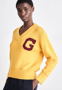 GANT VARSITY VNECK - Camisola - faded sunset