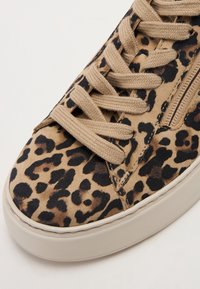 Baskets à imprimé léopard avec tige en daim beige, système de laçage classique et semelle en caoutchouc texturée. Détail de fermeture éclair latérale inclus.