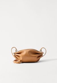 Unselected, shiny camel
