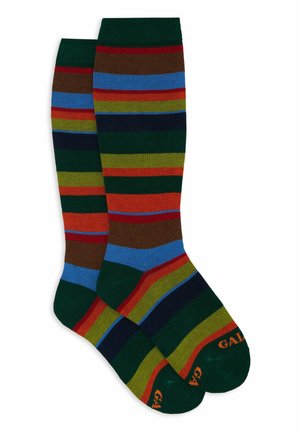 Calze a righe caratterizzate da una combinazione di colori verde, rosso, blu e marrone, con un bordo a costine e punte rinforzate in colori a contrasto.