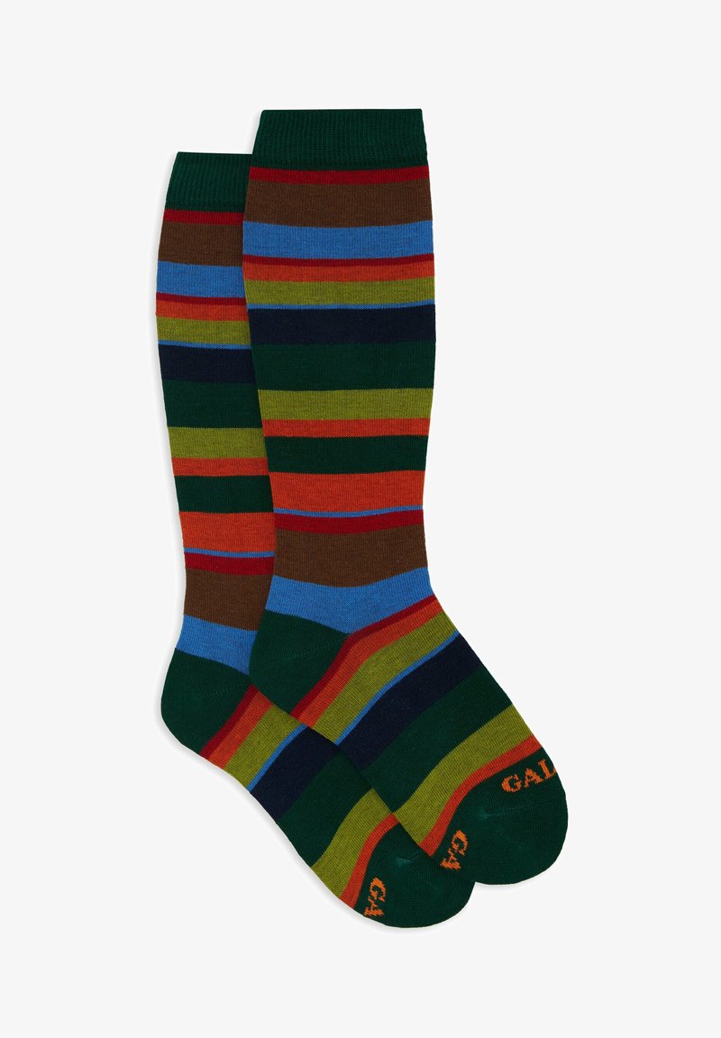 Gestreifte Socken in einer Mischung aus Grün, Rot, Blau und Braun, mit einem gerippten Bündchen und verstärkten Zehen in kontrastierenden Farben.
