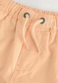 Shorts couleur pêche clair avec une taille élastique, fermeture à cordon de serrage et œillets en métal. Présente un tissu lisse et des détails de couture discrets.