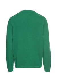 Groene lange mouwen trui met een gestructureerd, gebreid patroon. Ronde hals en geribbelde boorden, wat zorgt voor een casual, getailleerde pasvorm.