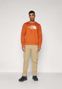 The North Face M DREW PEAK REGULAR CREW - Mikina - earthen copper