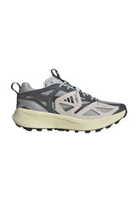 adidas Sportswear KANTAI - Trail hardloopschoenen - silver core black grey six
