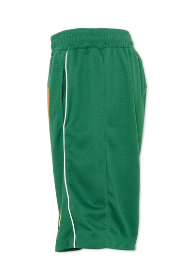 Shorts de sport verts avec taille élastique et passepoil blanc sur les côtés, vus de profil sur un fond blanc uni.