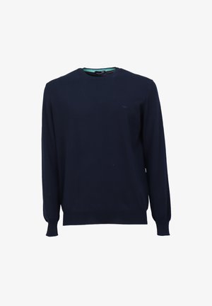 Maglione a maglia blu navy con maniche lunghe, scollatura a V, orlo e polsini a coste, caratterizzato da un piccolo logo sul petto sinistro. Texture liscia.