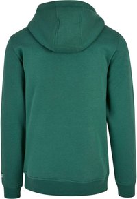 Felpa verde realizzata in tessuto morbido, dotata di cappuccio con coulisse, maniche lunghe, polsini a coste e orlo arrotondato. Design semplice senza loghi visibili.