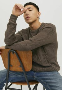 Jack & Jones CREW NECK - Neule - seal brown