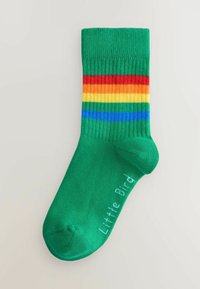Calcetín de punto verde con un diseño a rayas que incluye colores rojo, naranja, amarillo, verde y azul. Incluye el nombre de la marca "Little Bird" en blanco.