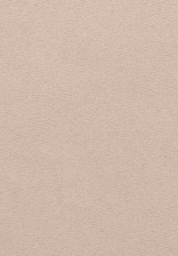 Textured beige fabric with a soft, matte finish, displaying an even surface pattern and subtle variations in tone.