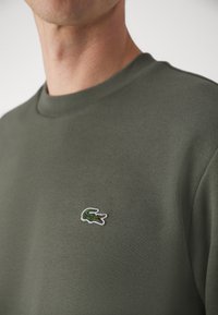 Pull vert olive en coton doux, avec un col rond et un petit logo crocodile vert brodé sur la poitrine.