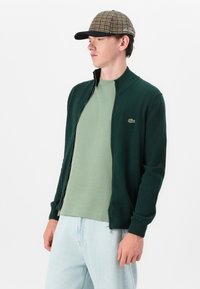 Tumši zaļš zipa džemperis ar ribotu apkakli, kombinēts ar gaiši zaļu T-kreklu un gaiši ziliem džinsiem. Bezvēja un brūnas šaha tipa cepure.