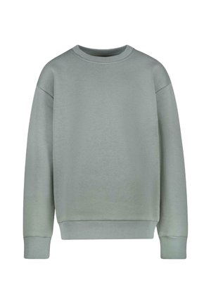 Lichtgroene sweatshirt gemaakt van zacht materiaal, met een ronde halslijn, lange mouwen en geribbelde manchetten en onderkant. Geen patronen of afbeeldingen aanwezig.