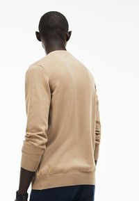Homme portant un pull beige à manches longues et un pantalon foncé, de dos, sur fond blanc uni.