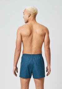 Blauwe en groene geruite zwembroek met een elastische tailleband, van achteren getoond op een model met kort, lichtkleurig haar.