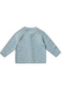 Maglione lavorato a maglia in azzurro chiaro con un motivo testurizzato, maniche raglan e scollatura rotonda. La vista posteriore mostra una finitura liscia e bordi puliti.