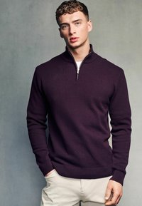 Next ZIP NECK - Strickpullover - dark purple