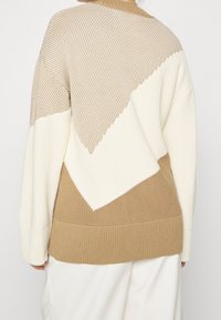 Osoba v béžovém a bílém pleteném svetru s barevnými bloky a vzorem písmene V, zobrazená zádama na jednolitém pozadí.